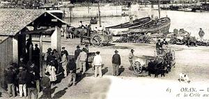 2379- Oran - Port - Criee aux Poissons2 - 1906